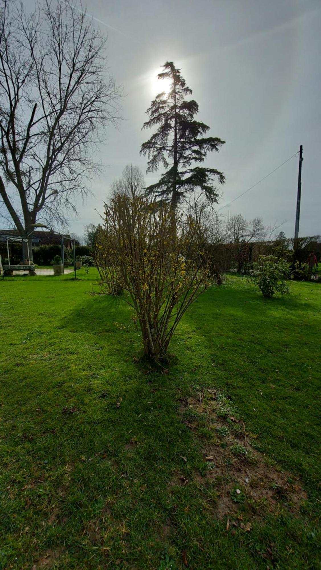 Villa Maella Saint-Michel-Tuboeuf ภายนอก รูปภาพ
