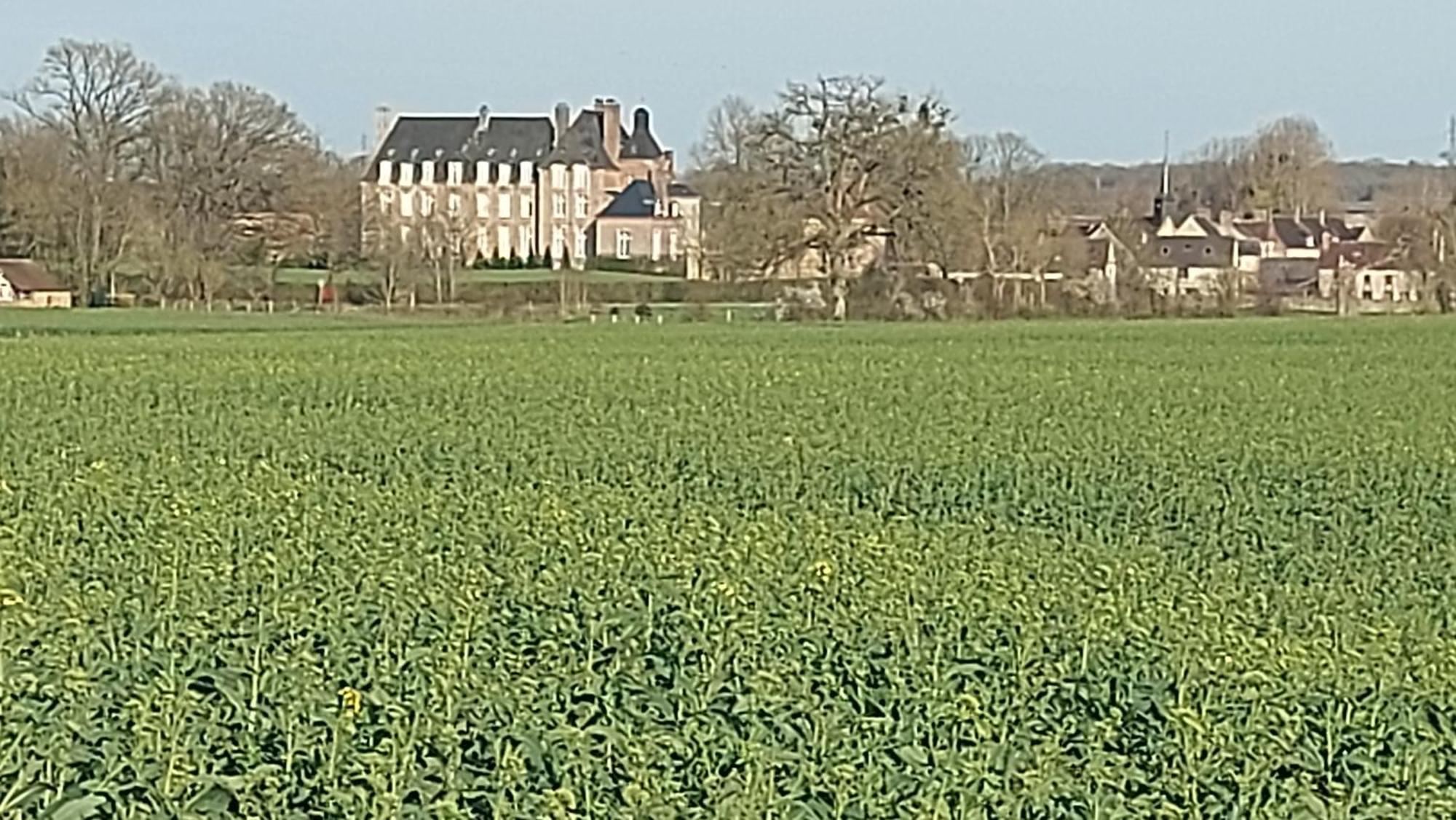 Villa Maella Saint-Michel-Tuboeuf ภายนอก รูปภาพ